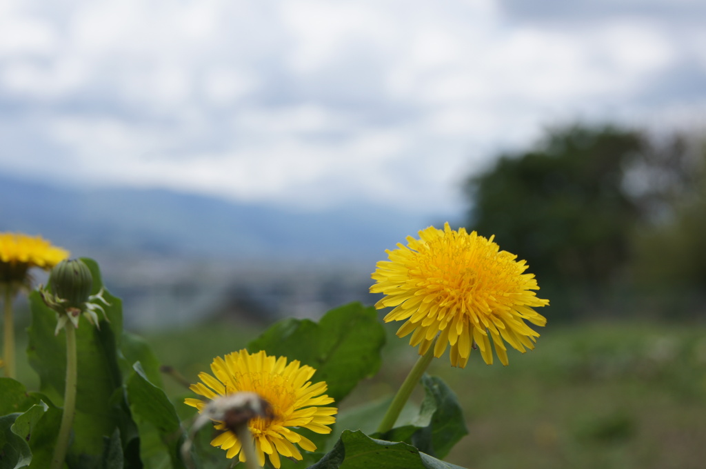 山梨小旅行～勝沼ぶどう郷～⑥