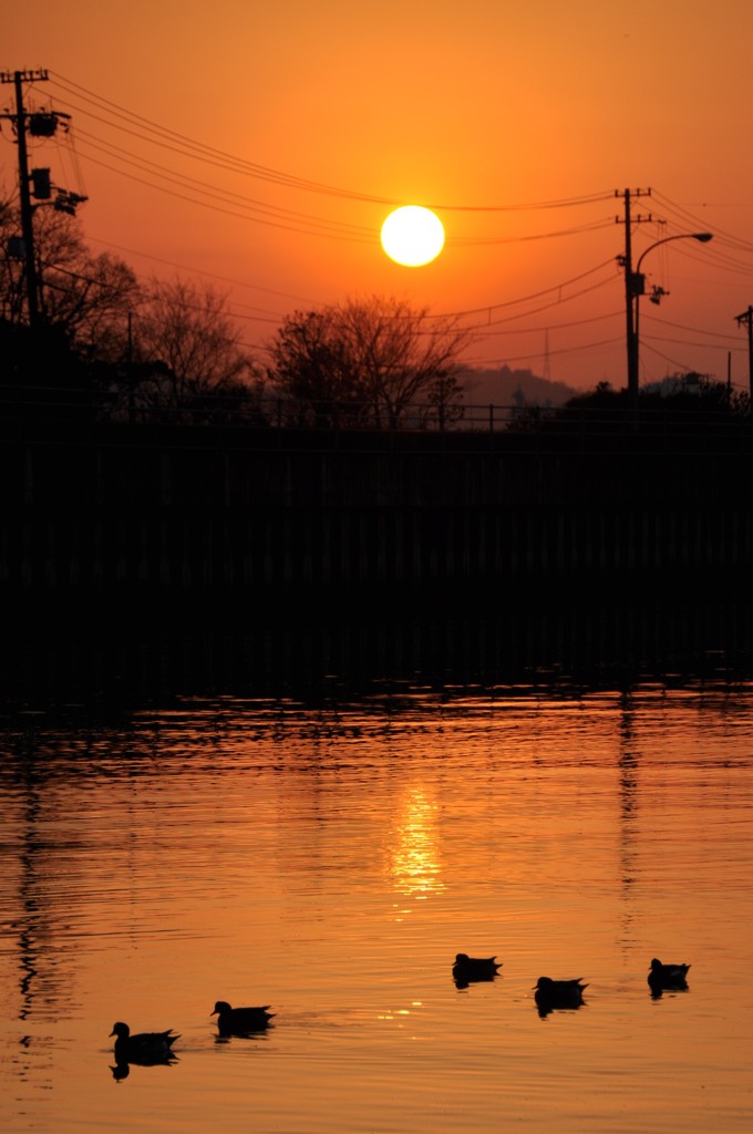 夕暮れ