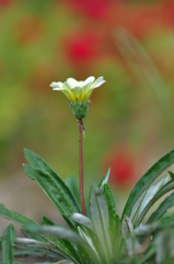 整列!気をつけっ!