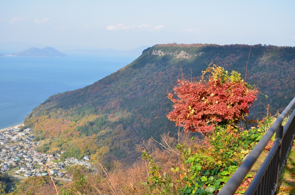 屋島の秋