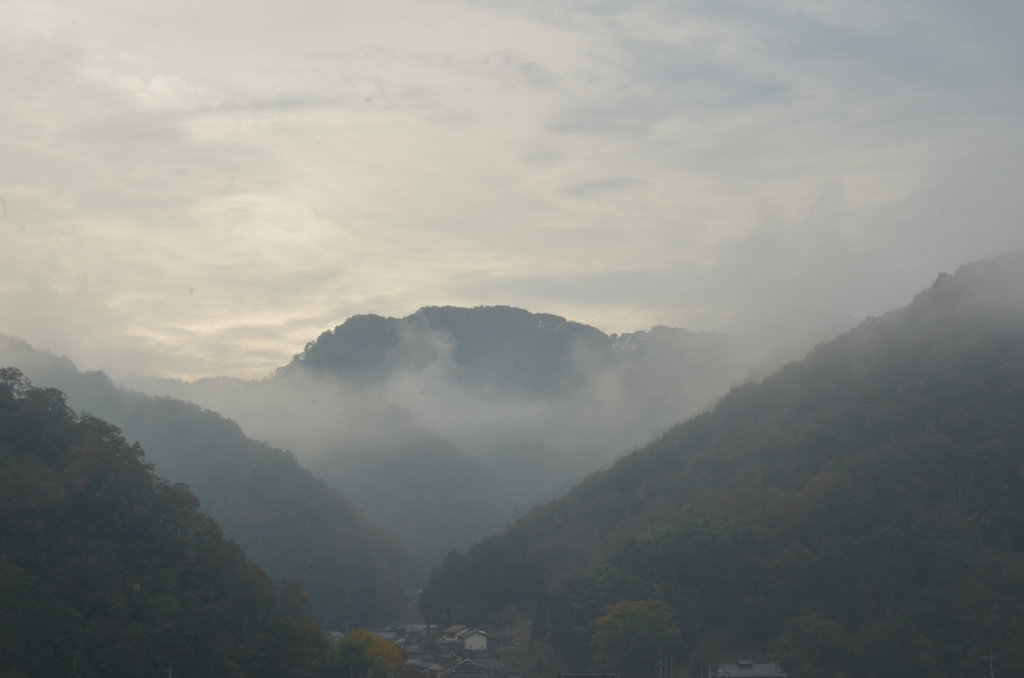 静かな朝に
