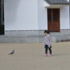ね、ついて来る？