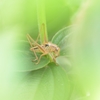 あ、やっぱり撮られちゃった。。。