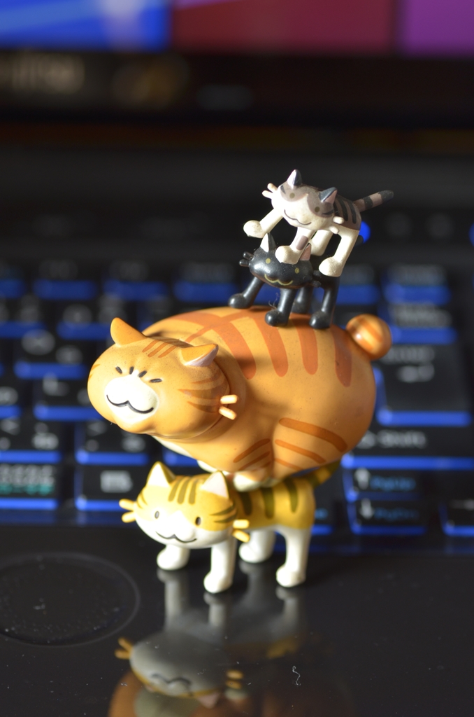 つみねこ