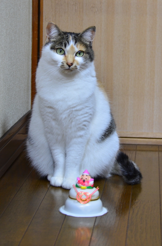 2014年　新年のご挨拶を