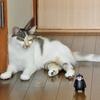 何、こいつ！