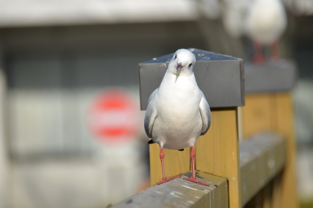 何か？