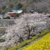 春の厳島神社