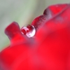 水玉の我慢