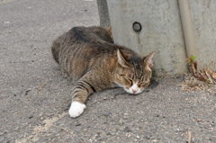 此処、好きなんです！