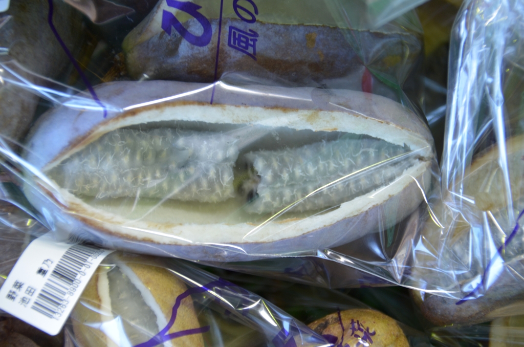 ここにも秋が。。。（あけび）