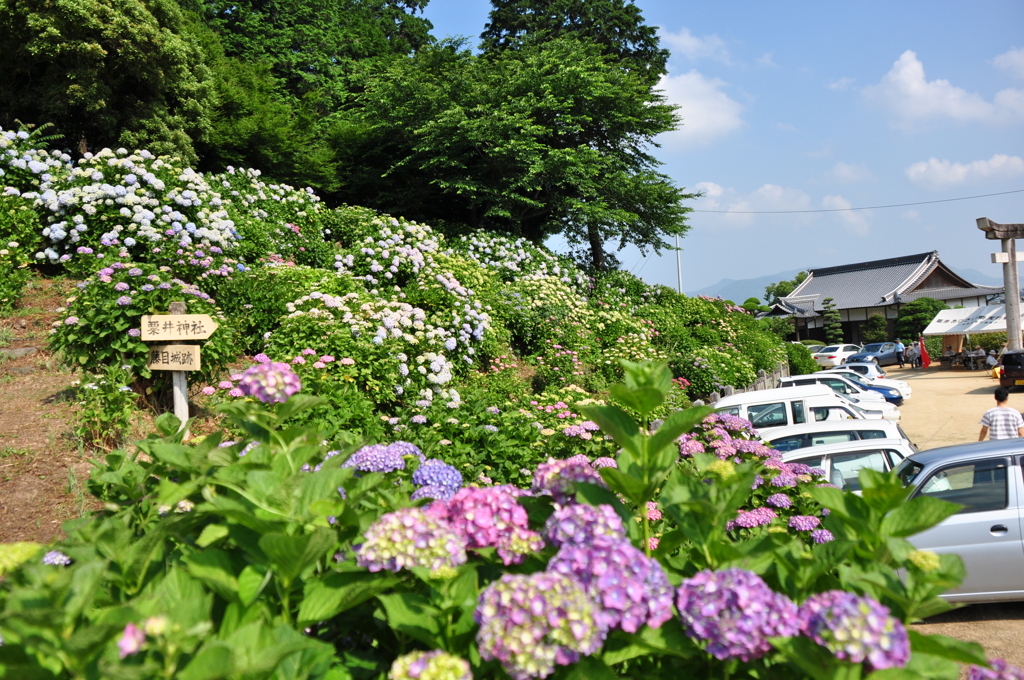 粟井神社