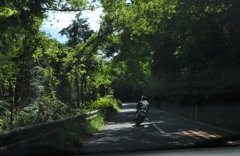 ライダー