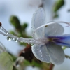 久々の雨　