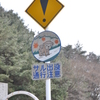 猿出没注意！！