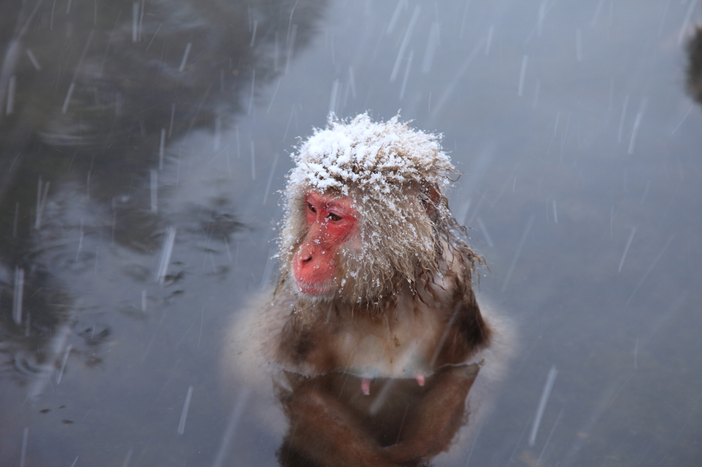 どこ見てんのよ！