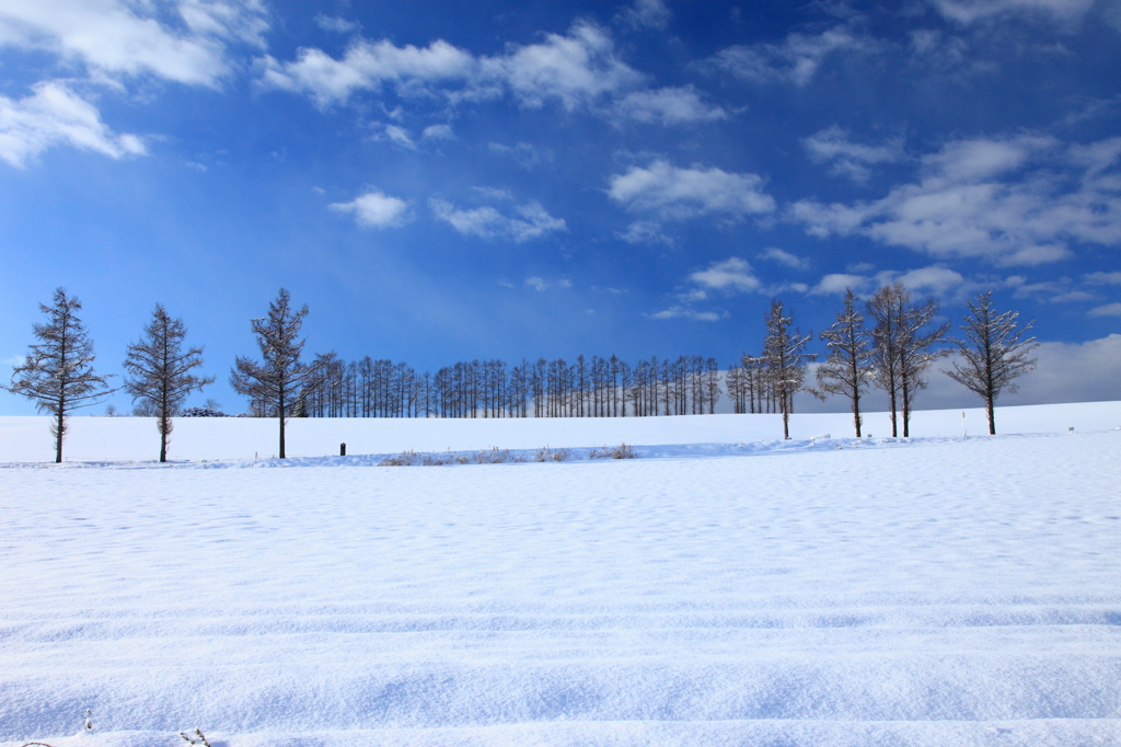 Blue &White 3