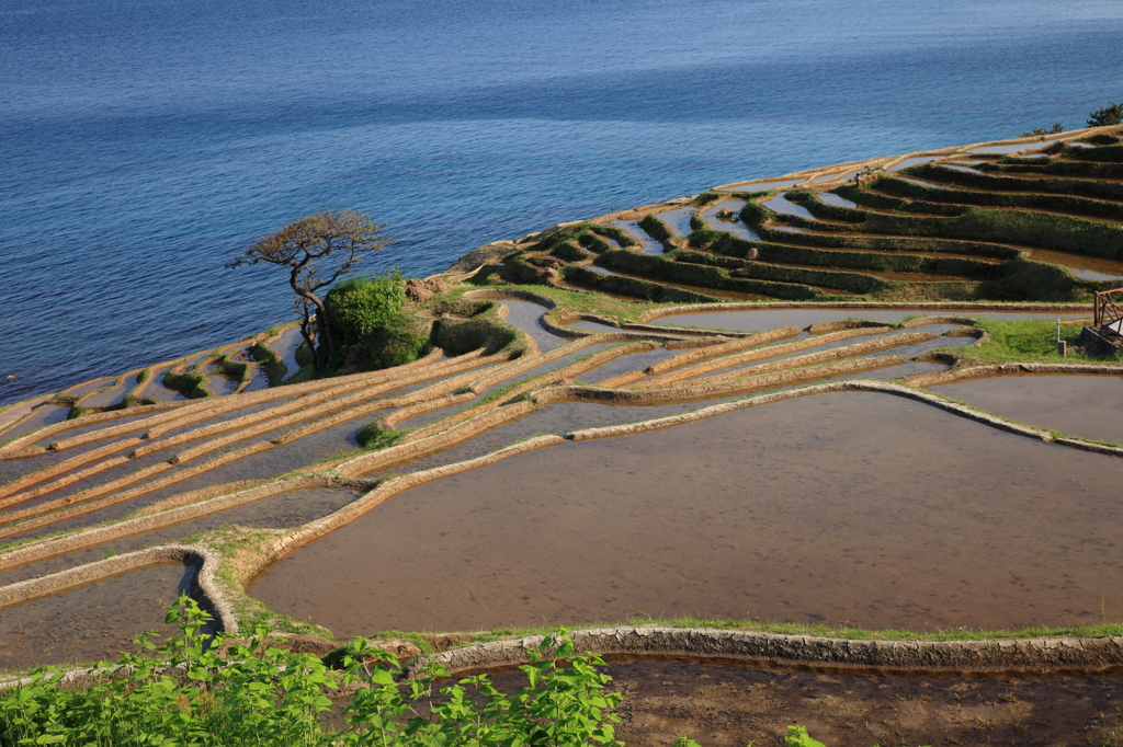 海山情景　２