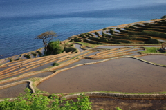 海山情景　２