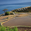 海山情景　２