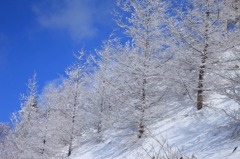 風雪の後Ⅱ