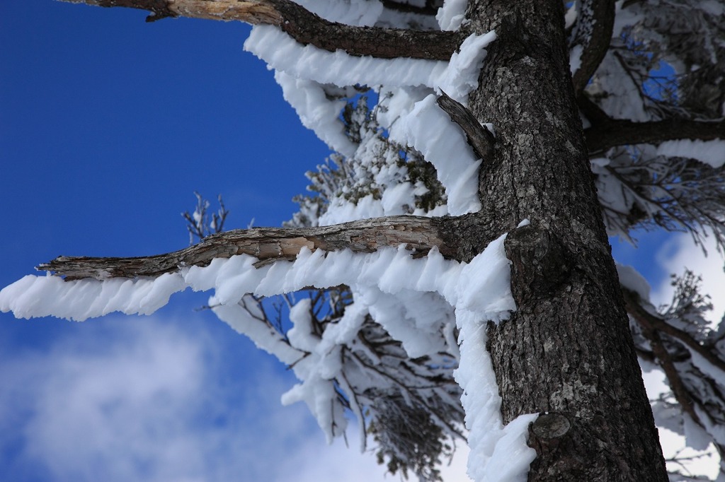 風雪の後Ⅲ