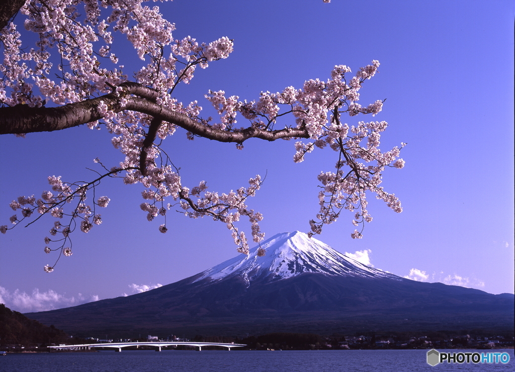 気の向くまま　Ⅱ