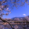 筑波山を望む