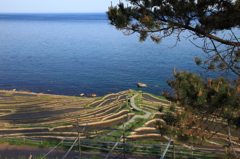 海山情景3
