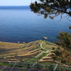 海山情景3
