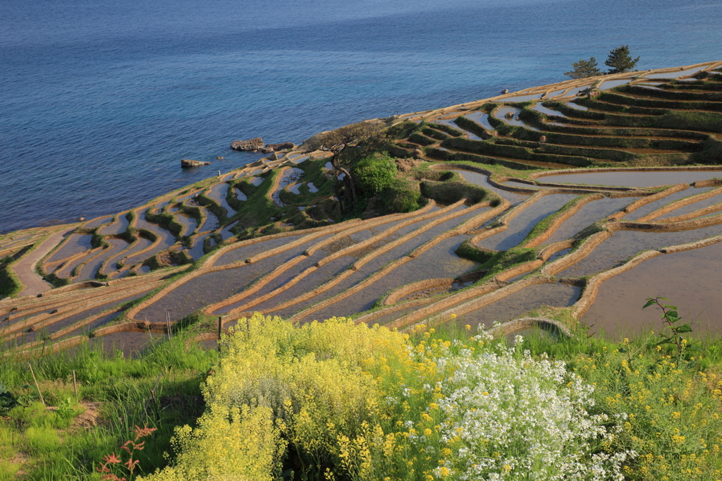 海山情景4