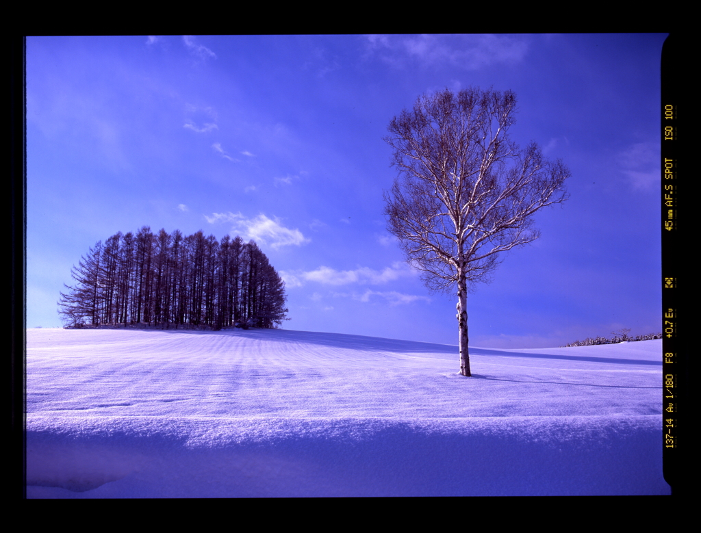 雪のち晴れ