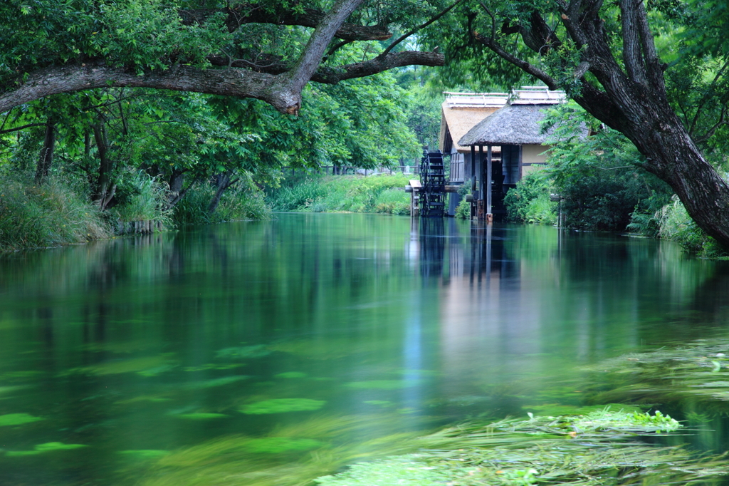清流