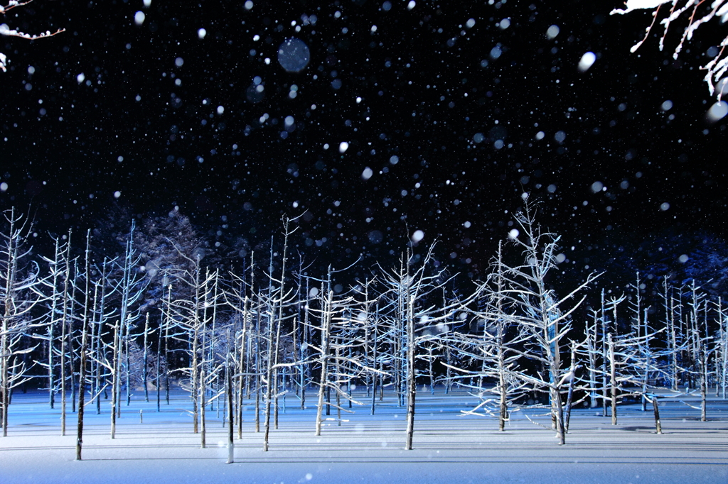 雪ふる夜