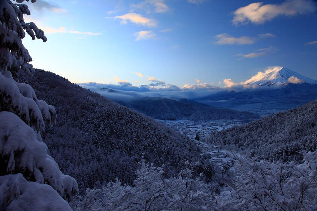 雪の朝