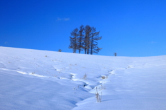 Blue &White 1