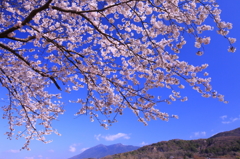 小田城本丸跡