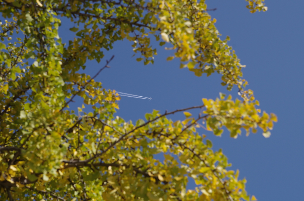 IMGP0949