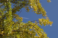 IMGP0949