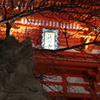 IMGP0808