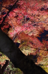 IMGP0824