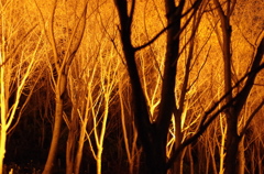 IMGP0879