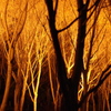 IMGP0879