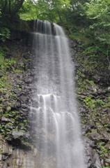IMGP0387