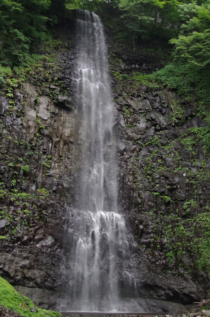 IMGP0379
