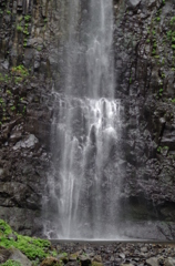 IMGP0382