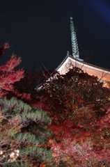 IMGP0912