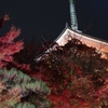 IMGP0912