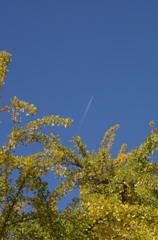 IMGP0946