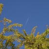 IMGP0946